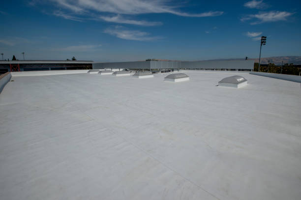 Best Hot Roofs  in Ida Grove, IA