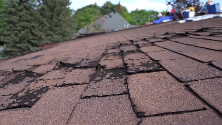 Best Sheet Metal Roofing  in Ida Grove, IA