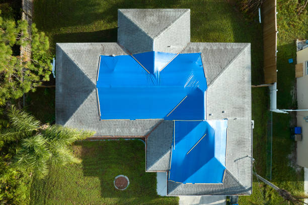 Best Asphalt Shingles Roofing  in Ida Grove, IA