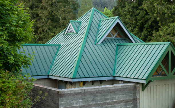 Best Chimney Flashing Repair  in Ida Grove, IA