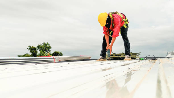 Best Roof Coating and Sealing  in Ida Grove, IA
