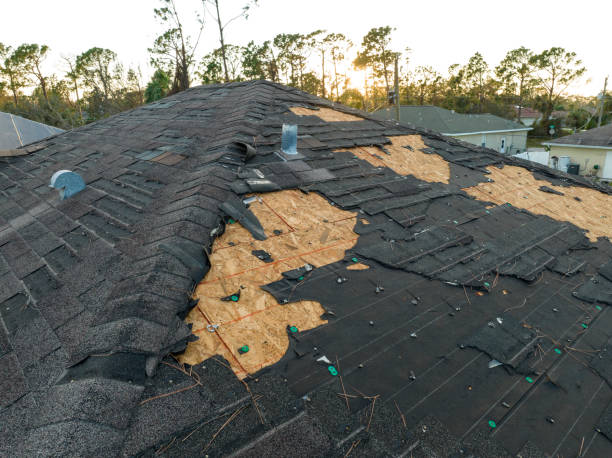 Best Solar Panel Roofing Installation  in Ida Grove, IA