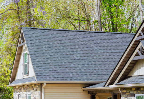 Best Roof Moss and Algae Removal  in Ida Grove, IA