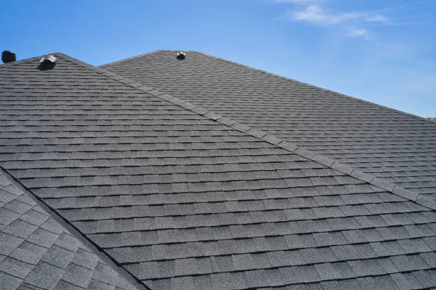 Best Roof Ventilation Installation  in Ida Grove, IA